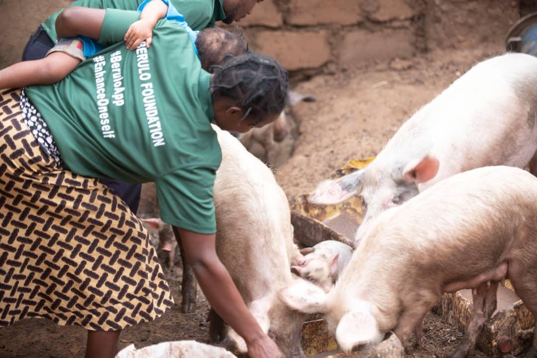 Berulo UP education program